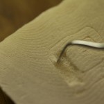 Carving the cuttle bone