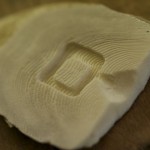 The finished cuttle bone carving