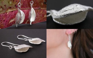 Gravillia seed pod earrings