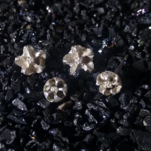 Little cast tea tree seed pod studs